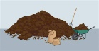 Manure.pdf
